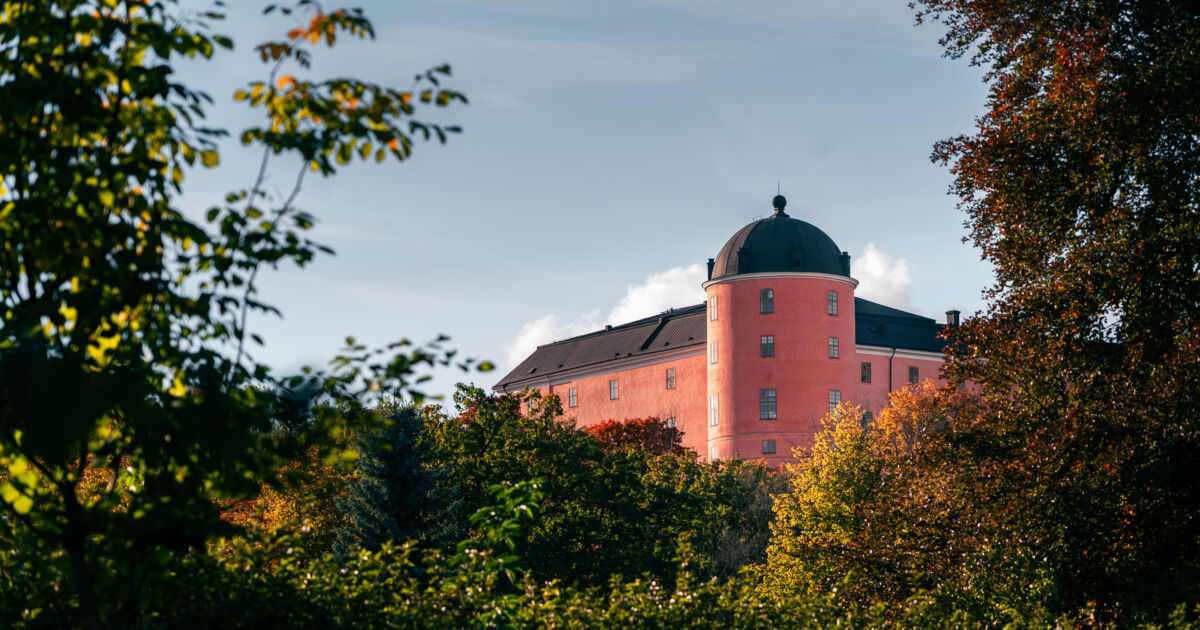 En distant bild på Uppsala slott mellan träd. 